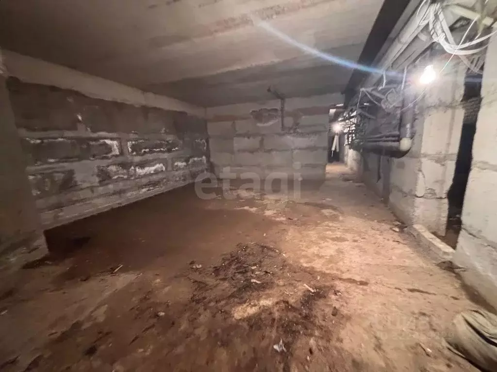 Помещение свободного назначения в Ставропольский край, Ставрополь ул. ... - Фото 1