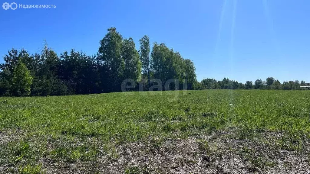 Участок в Нижегородская область, Балахнинский муниципальный округ, ... - Фото 1