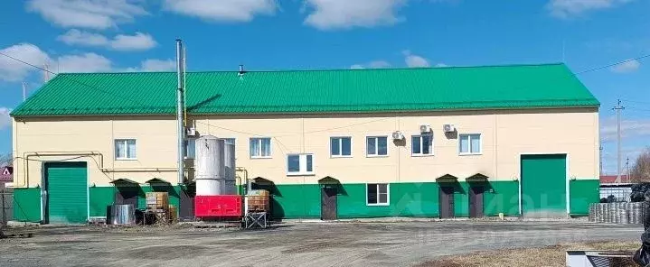 Производственное помещение в Свердловская область, Арамиль ул. Заветы ... - Фото 1