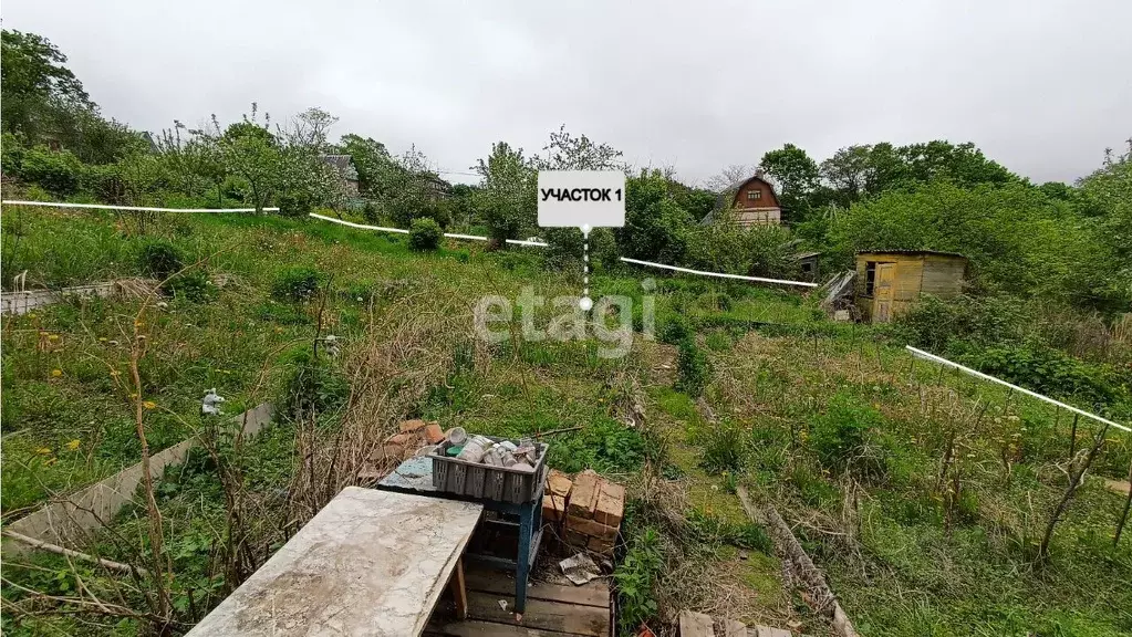 Дом в Приморский край, Надеждинский район, Лунный СДТ  (30 м) - Фото 0