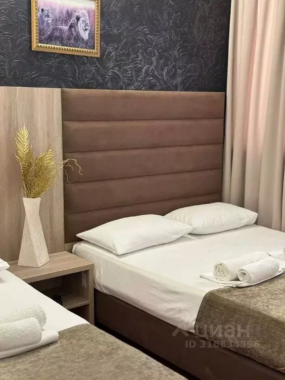 Комната Краснодарский край, Анапа муниципальный округ, с. Витязево ... - Фото 0