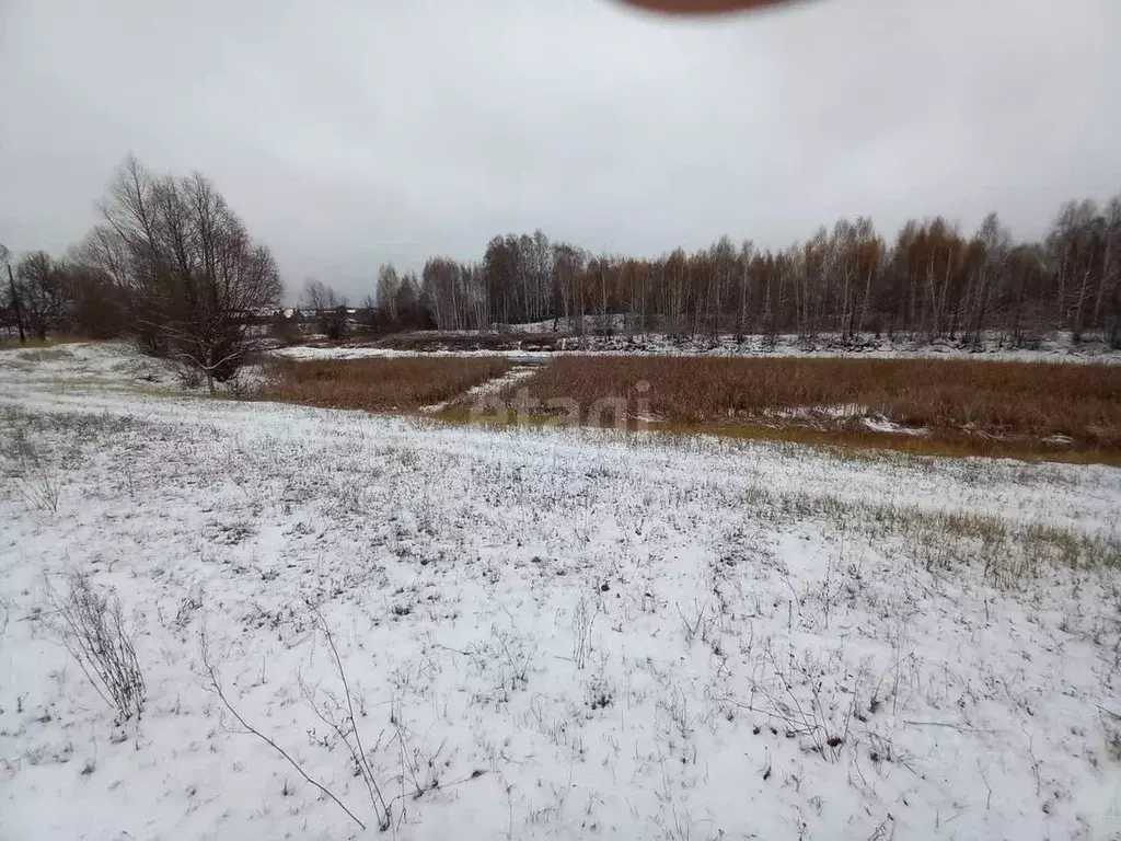 Участок в Татарстан, Зеленодольский район, Айшинское с/пос, с. Айша  ... - Фото 0