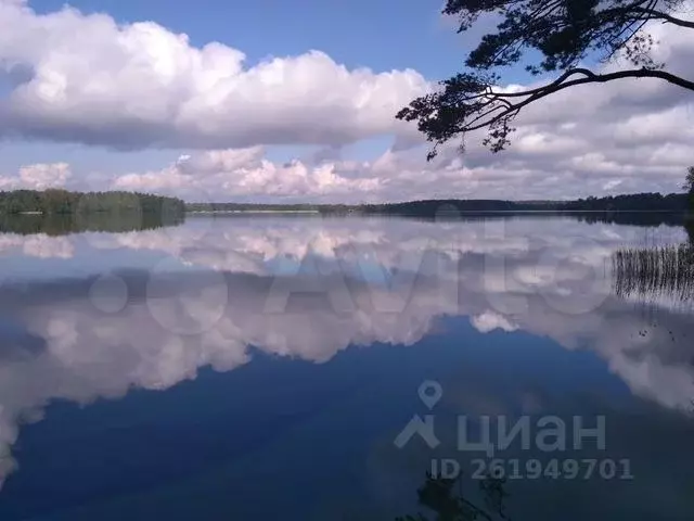 Участок в Псковская область, Невельский муниципальный округ, д. ... - Фото 0