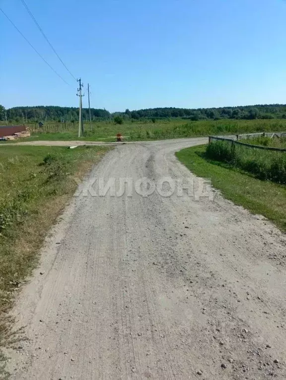 Участок в Новосибирская область, Мошковский район, с. Белоярка ул. ... - Фото 1