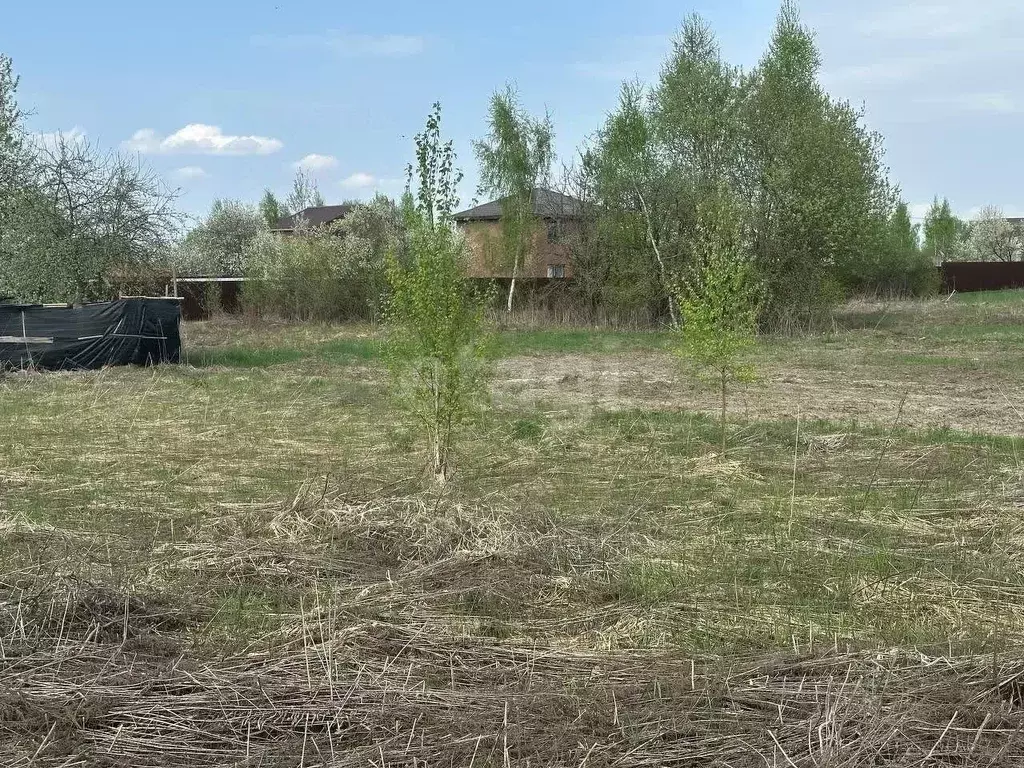 Участок в Брянская область, Брянский район, Снежское с/пос, с. ... - Фото 1