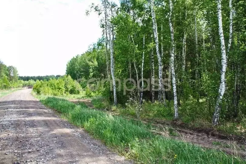 Участок в Тюменская область, Тюменский район, д. Ушакова проезд ... - Фото 0