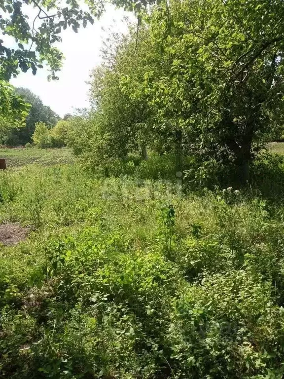 участок в белгородская область, старооскольский городской округ, с. . - Фото 0