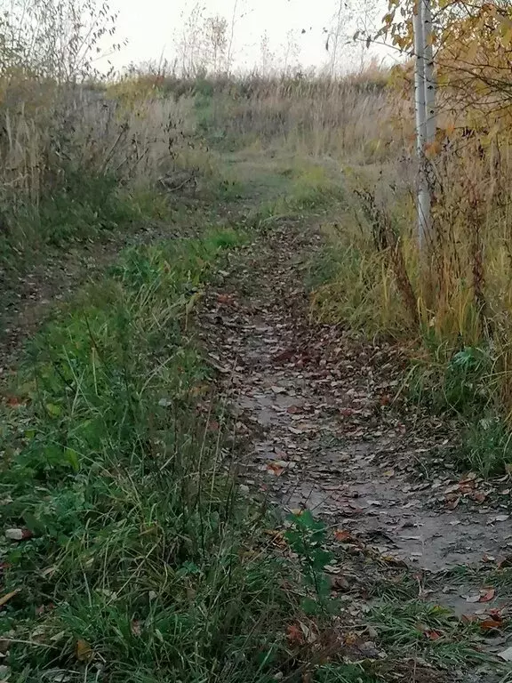 Участок в Нижегородская область, Богородский муниципальный округ, ... - Фото 0