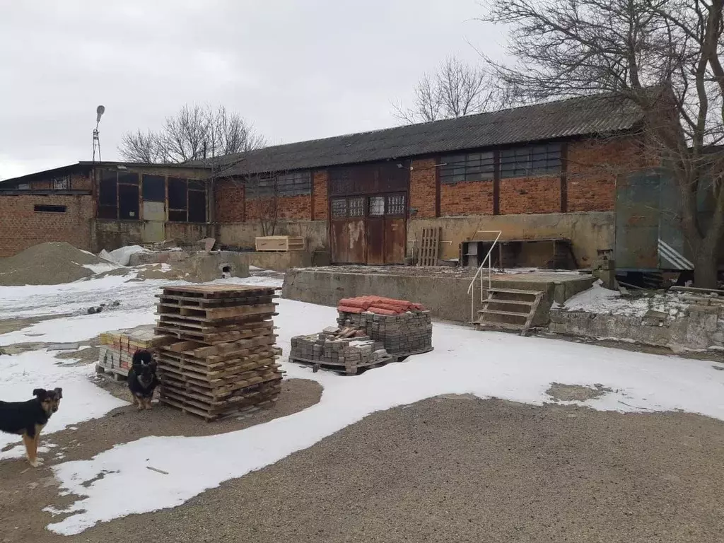 Производственное помещение в Краснодарский край, Темрюкский район, ... - Фото 1