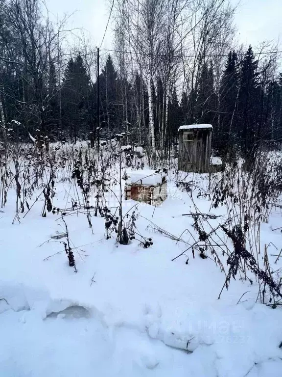 Участок в Ханты-Мансийский АО, Ханты-Мансийск ул. Гагарина, 26 (6.0 ... - Фото 0