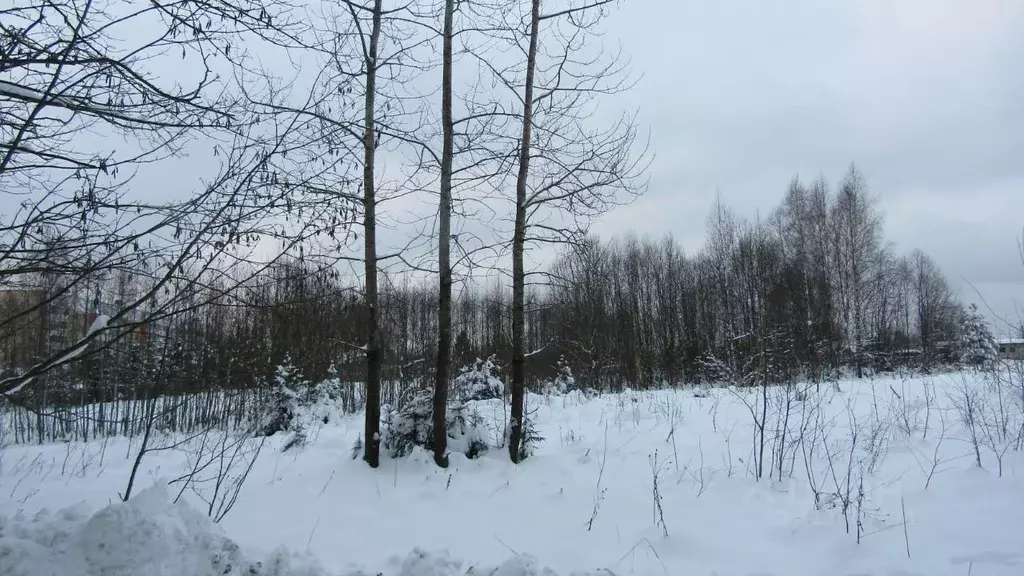 Участок в Московская область, Рузский муниципальный округ, с. ... - Фото 0