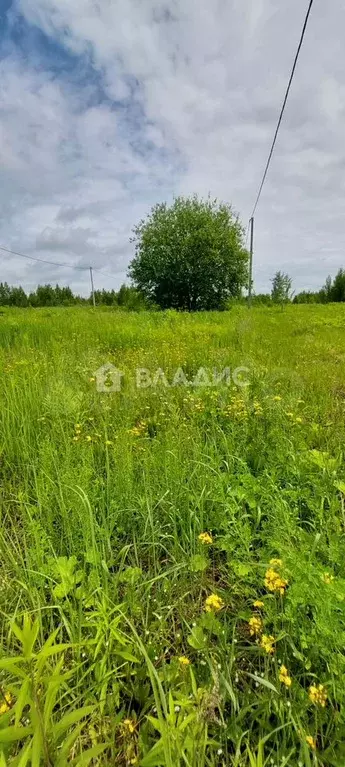 Участок 11,7 сот. (ИЖС) - Фото 1