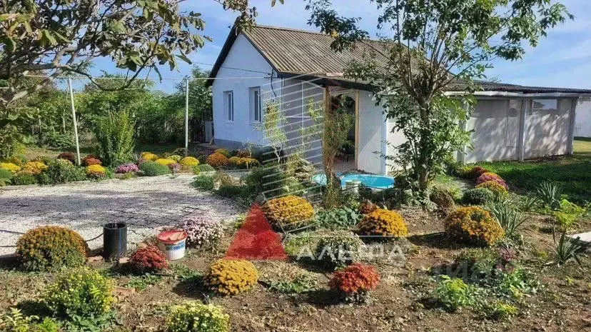 Дом в Крым, Раздольненский район, Березовское с/пос, с. Березовка ул. ... - Фото 0