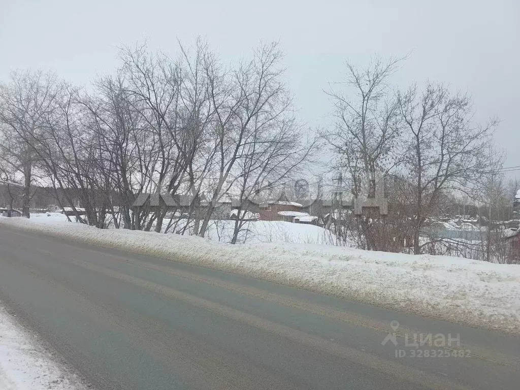 Участок в Новосибирская область, Новосибирск Буревестник Пашинский ... - Фото 2