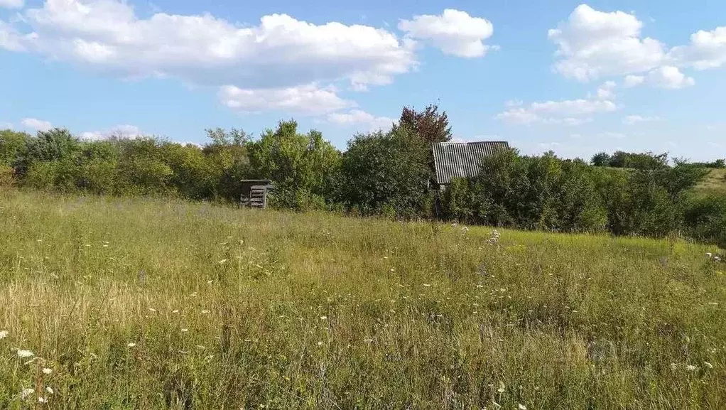 Участок в Белгородская область, Белгородский район, Никольское с/пос, ... - Фото 1