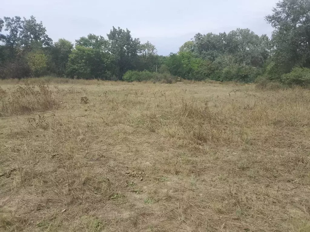 Участок в Кабардино-Балкария, Майский ул. Гагарина (16.0 сот.) - Фото 2