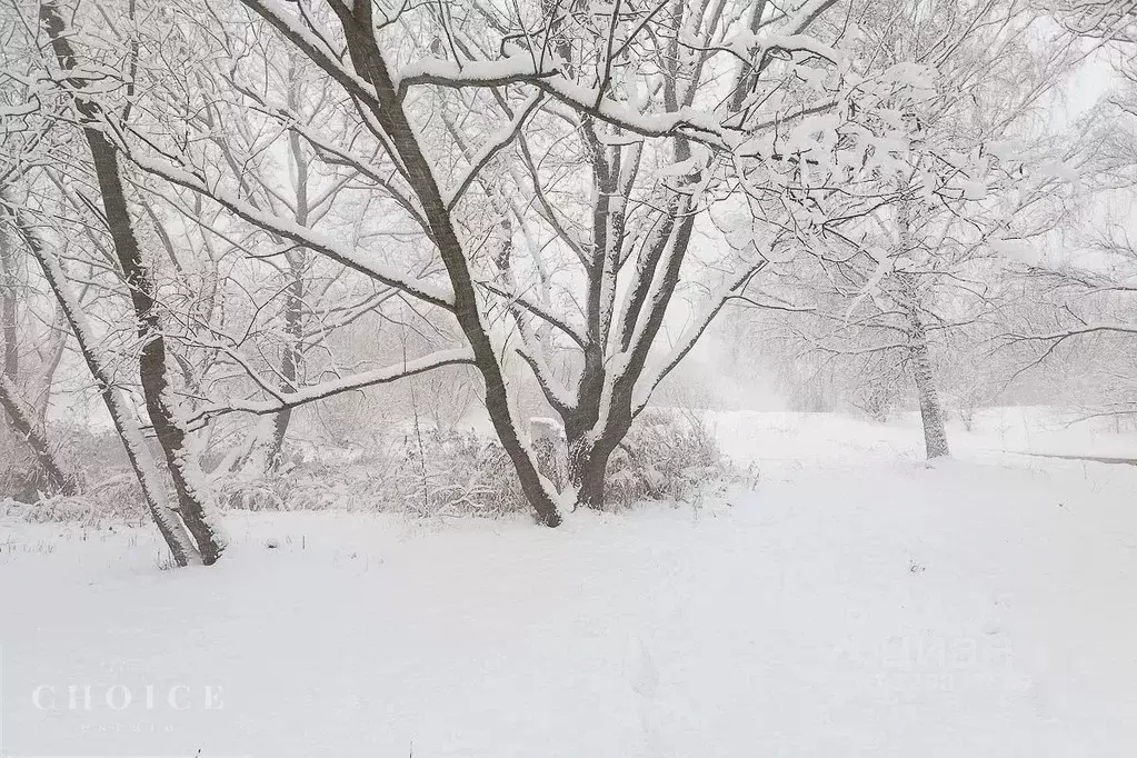 Участок в Московская область, Истра муниципальный округ, д. Чесноково, ... - Фото 2