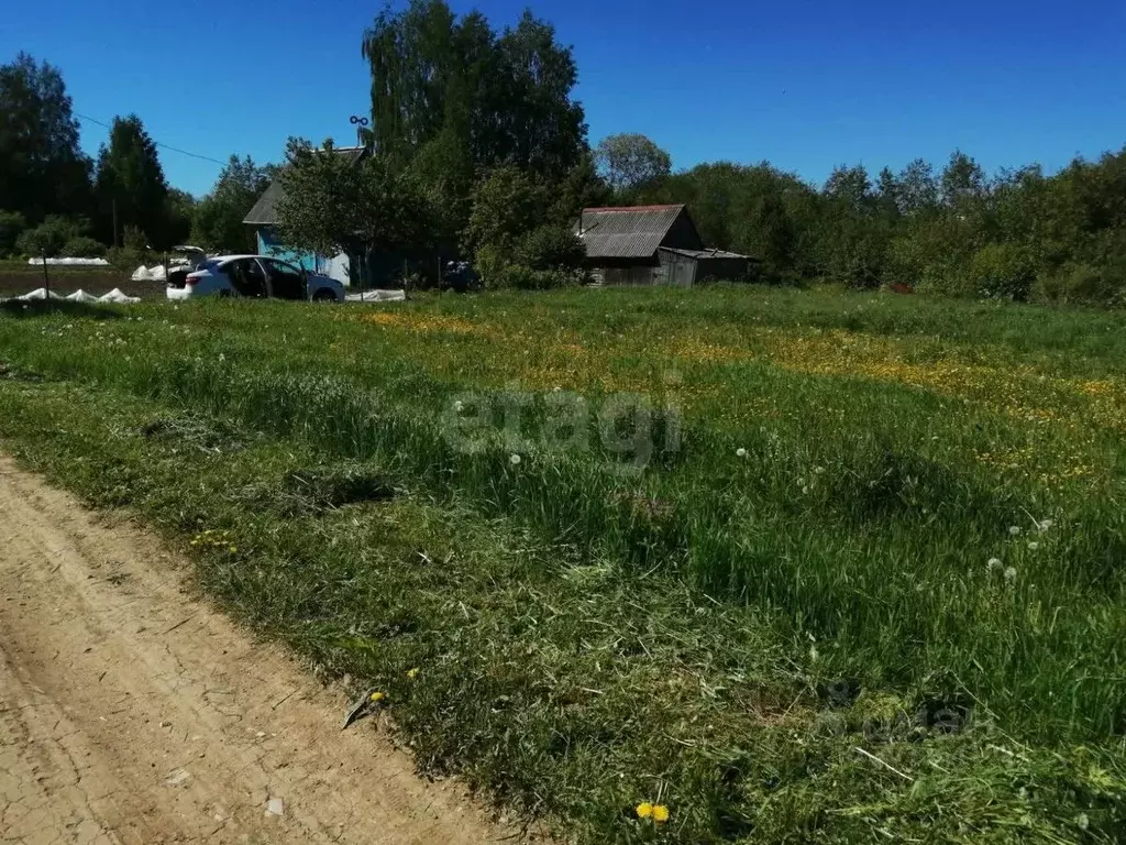 Участок в Вологодская область, д. Шелыгино  (14.13 сот.) - Фото 1