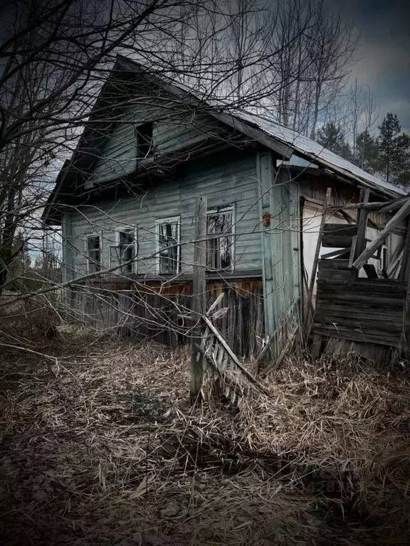 участок в новгородская область, маловишерский район, большевишерское . - Фото 0