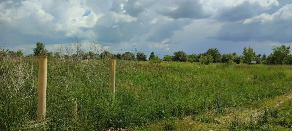 Участок в Самарская область, Ставропольский район, Нижнее Санчелеево ... - Фото 1