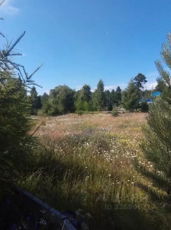 Участок в Бурятия, Кабанский район, с. Сухая Байкальская ул. (8.0 ... - Фото 2