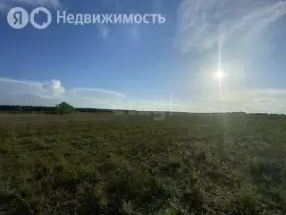 Участок в Старооскольский городской округ, село Новокладовое, Широкая ... - Фото 2