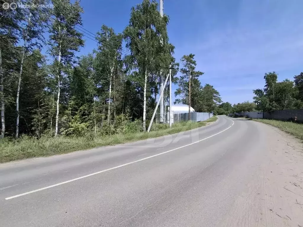 Участок в Тюменский муниципальный округ, СНТ Архитектор (8 м) - Фото 1