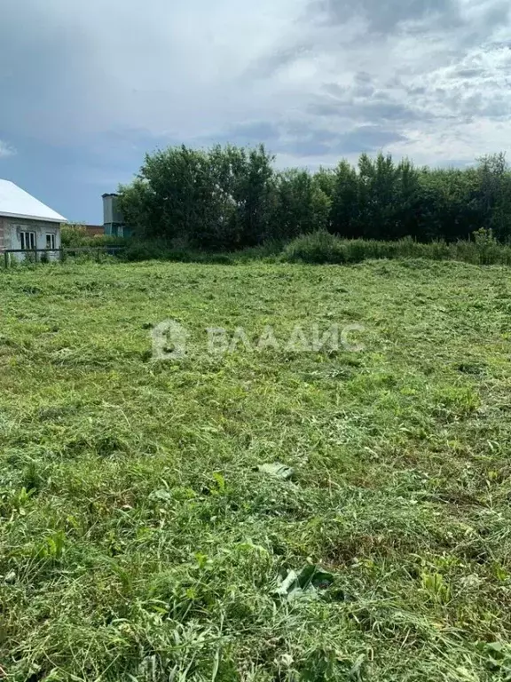 Участок в Новосибирская область, Новосибирский район, Мичуринский ... - Фото 1