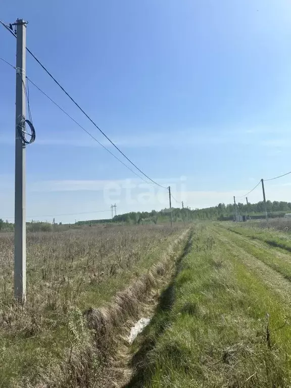 Участок в Тюменская область, Тюменский муниципальный округ, с. Кулига, ... - Фото 0