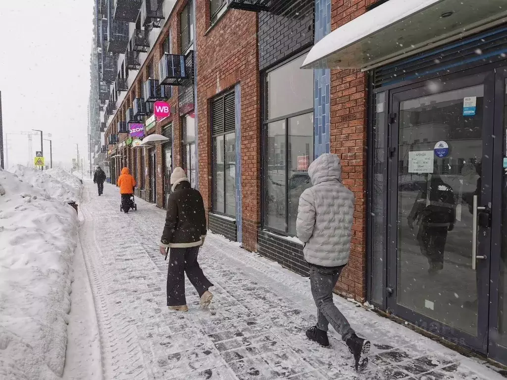 Помещение свободного назначения в Московская область, Домодедово ... - Фото 2