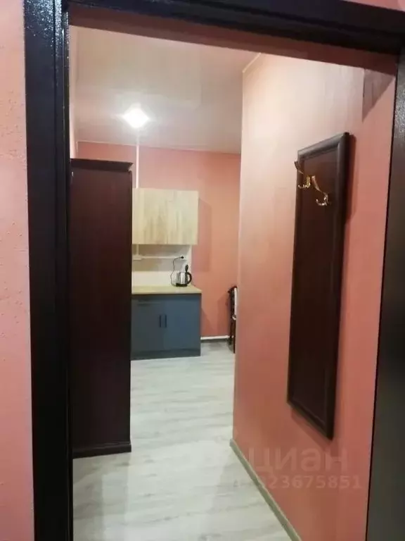 Студия Московская область, Подольск проезд Авиаторов, 3с266 (25.0 м) - Фото 0