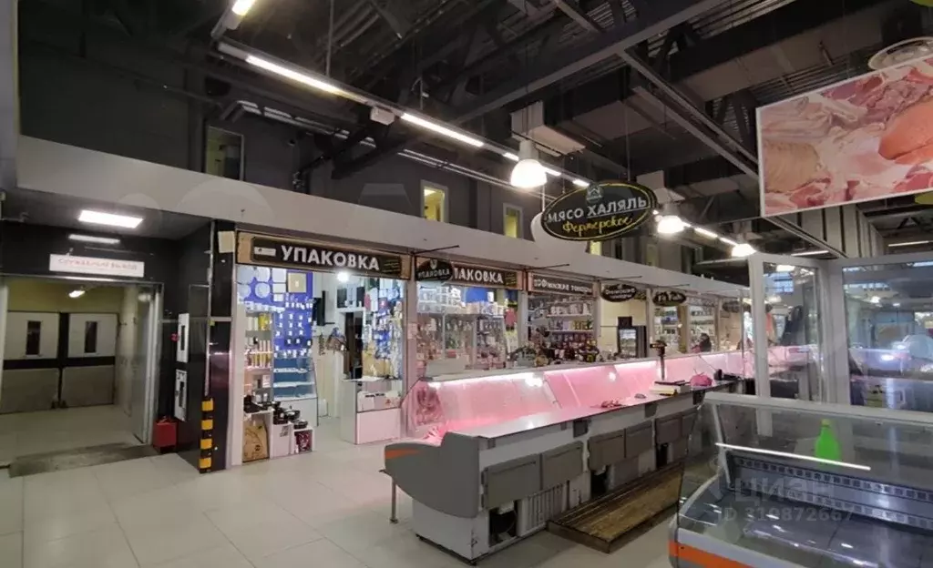 Помещение свободного назначения в Санкт-Петербург дор. Торфяная, 2к1 ... - Фото 1