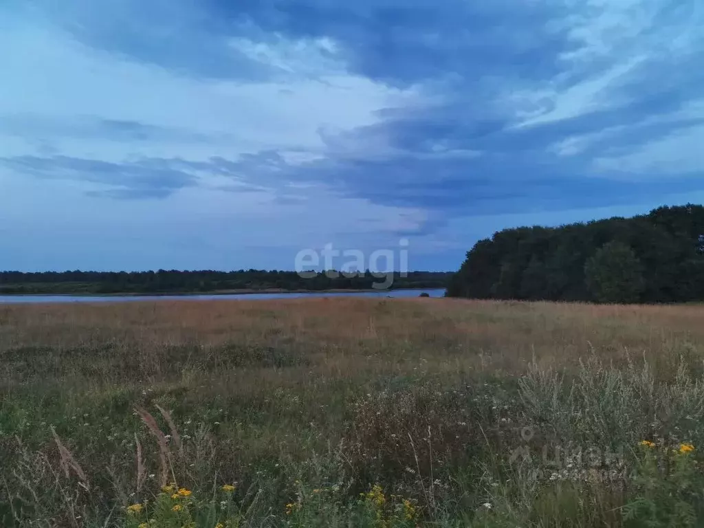 участок в смоленская область, гагаринский муниципальный округ, с. . - Фото 1