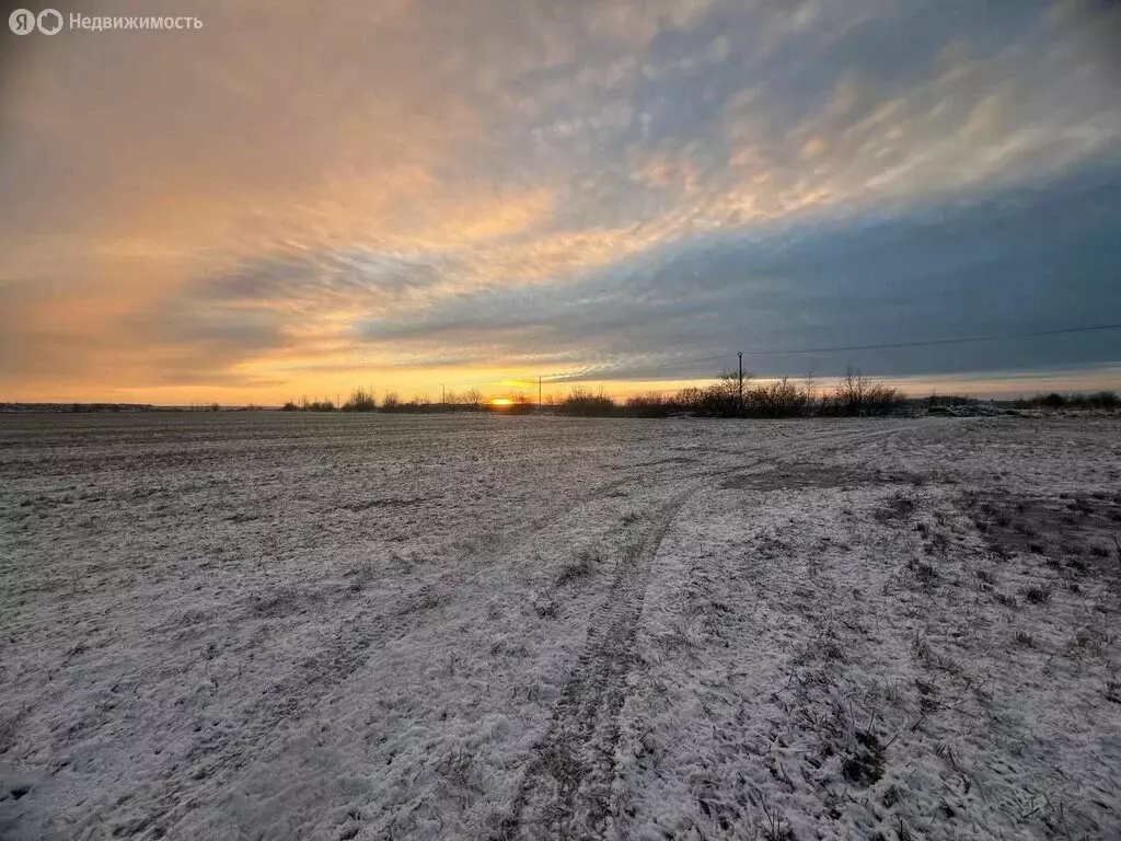 Участок в Ломоносовский район, Аннинское городское поселение, посёлок ... - Фото 1