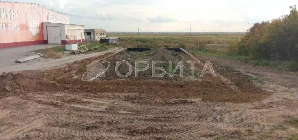 Участок в Тюменская область, с. Абатское ул. Ленина (16.0 сот.) - Фото 1