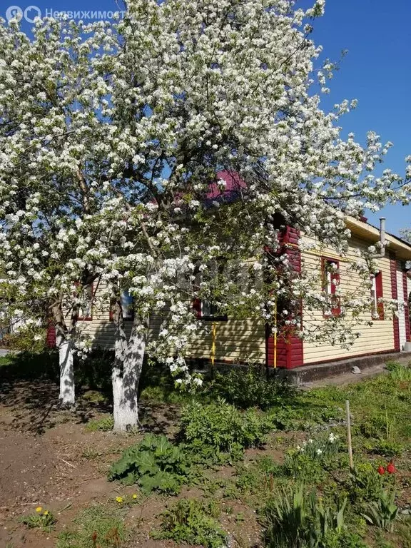 Дом в Горно-Алтайск, СНТ Бочкарёвка (50 м) - Фото 0