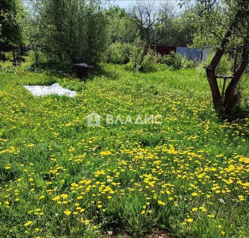 Дом в Нижегородская область, Нижний Новгород Заречное СНТ, ул. ... - Фото 2