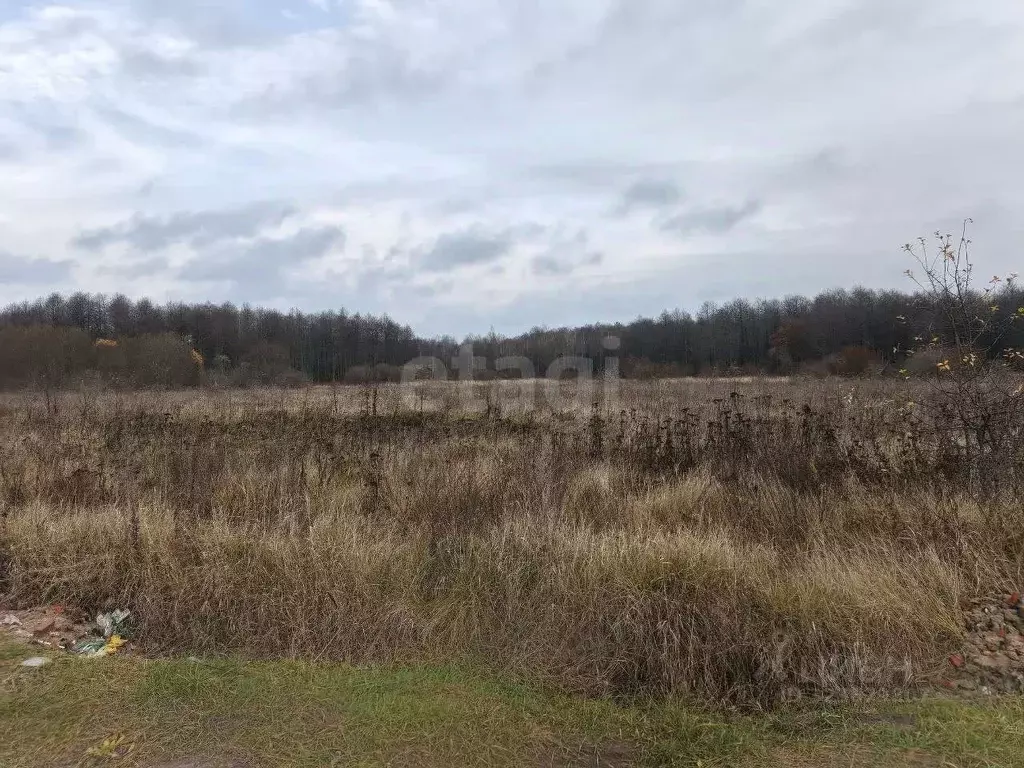 Участок в Брянская область, Брянский район, с. Журиничи  (20.0 сот.) - Фото 1