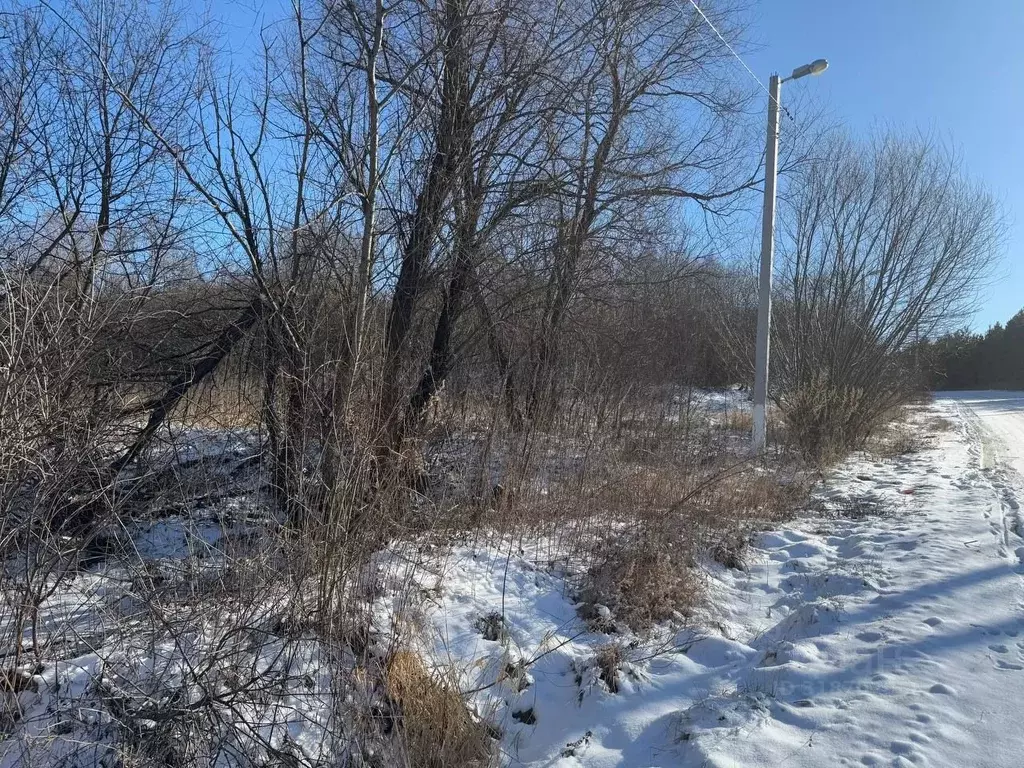 Участок в Московская область, Кашира городской округ, д. Колтово  ... - Фото 1