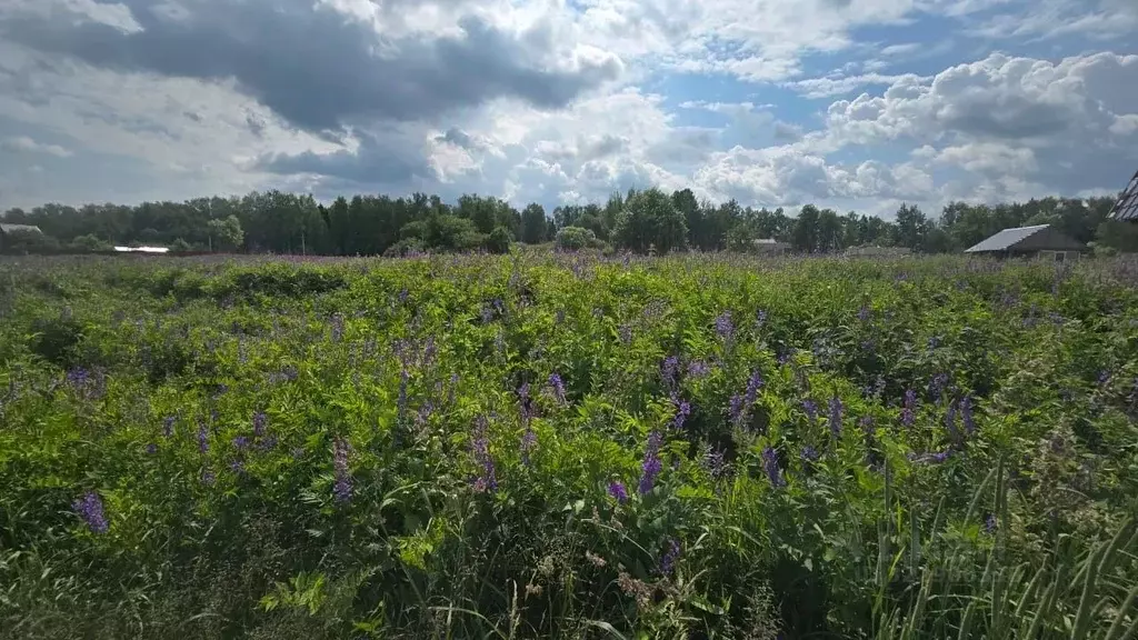 Участок в Московская область, Ступино городской округ, д. Игнатьево  ... - Фото 1