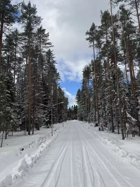 Участок в Ленинградская область, Всеволожский район, Бугровское ... - Фото 1