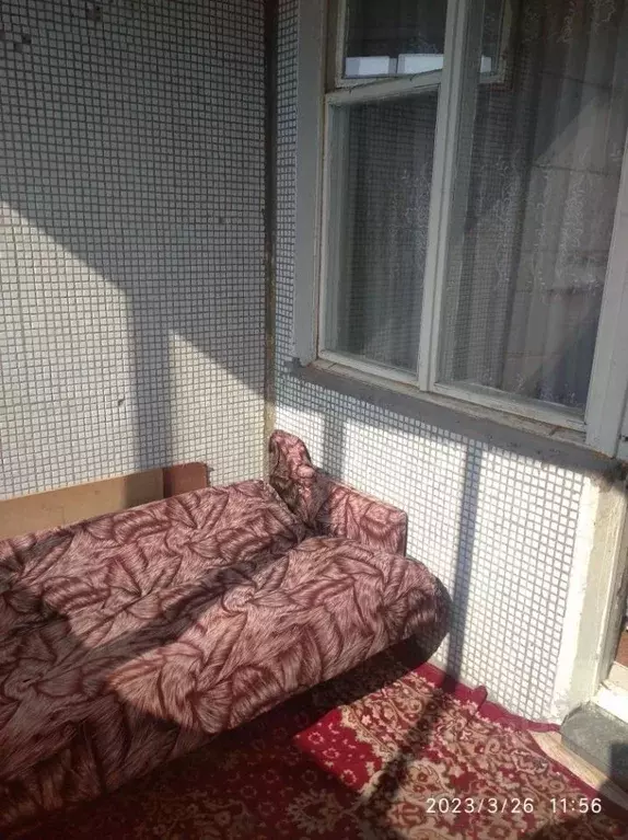 Комната Самарская область, Тольятти ул. Ворошилова, 1 (14.5 м) - Фото 2