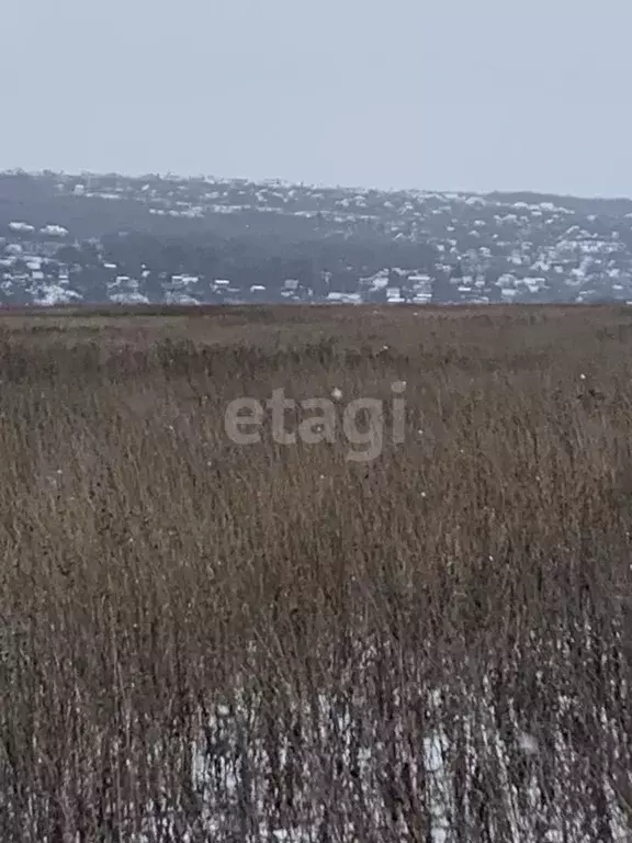 Участок в Белгородская область, Белгородский район, Головинское с/пос, ... - Фото 1