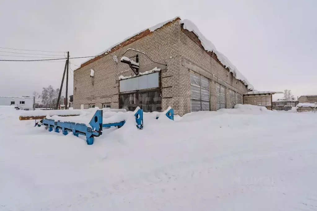 Склад в Пермский край, с. Елово ул. Кирова, 2А (4132 м) - Фото 2