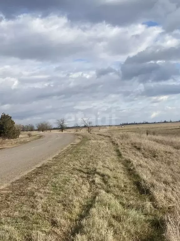 Участок в Крым, Сакский район, с. Лесновка ул. Садовая (6.0 сот.) - Фото 0