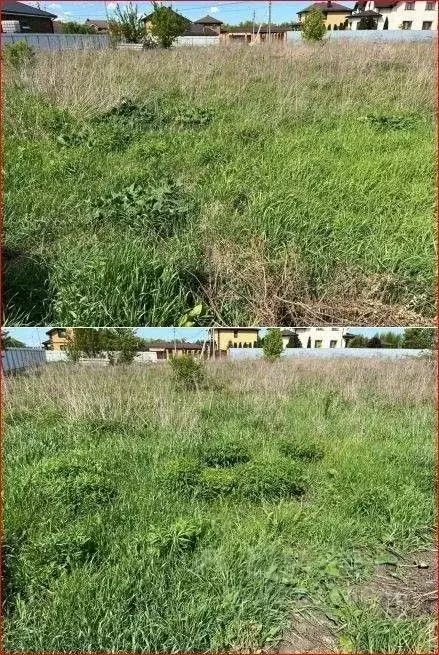 Участок в Орловская область, Орловский муниципальный округ, Знаменка ... - Фото 2