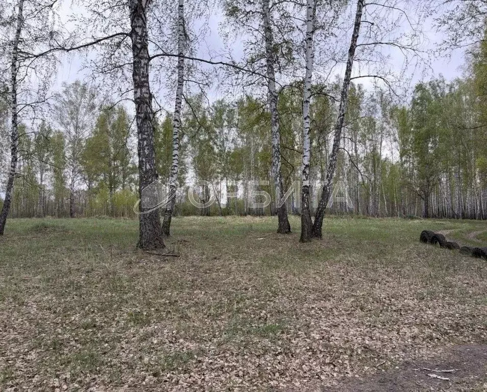 Участок в Тюменская область, Тюменский муниципальный округ, Винзили рп ... - Фото 1