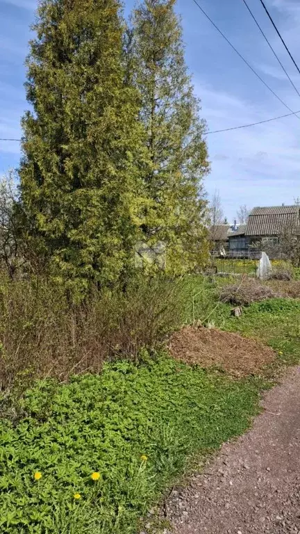 Дом в Ленинградская область, Кировское городское поселение, Беляевский ... - Фото 1