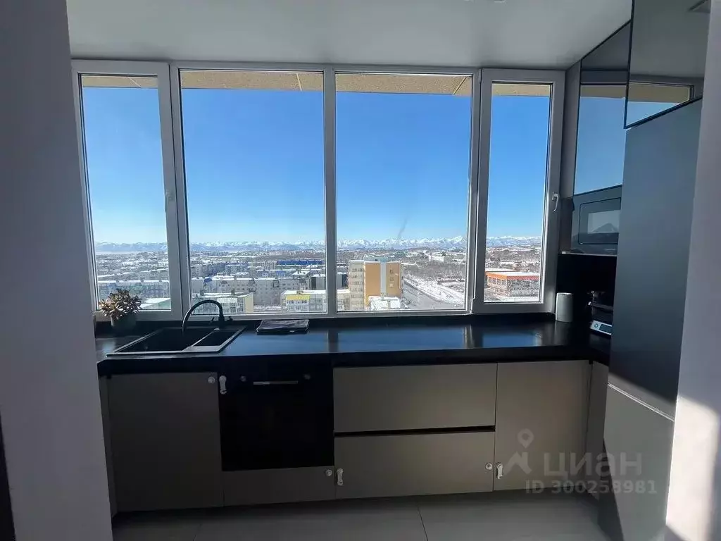 3-к кв. Камчатский край, Петропавловск-Камчатский Дальневосточная ул., ... - Фото 2