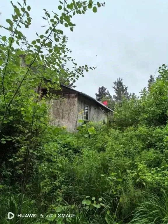 Дом в Ленинградская область, Выборг ул. Твардовского, 11 (75 м) - Фото 2